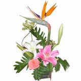 ʼʻٵ