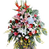 ʼʻٵ