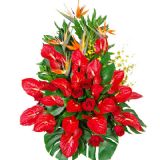 ʼʻٵ