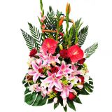 ʼʻٵ