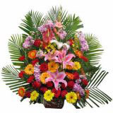 ʼʻٵ