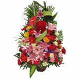 ʼʻٵ